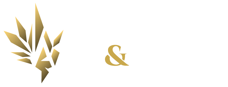 Art & Spark
